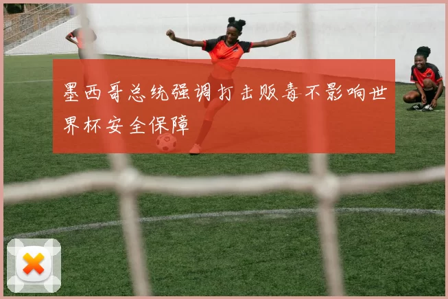 墨西哥总统强调打击贩毒不影响世界杯安全保障